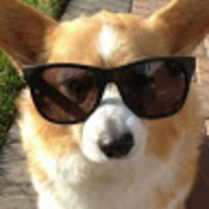 Meet your Posher, Shelby